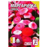 articul-A175361