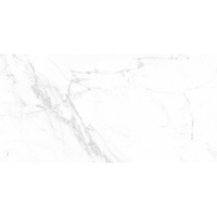 articul-A265753